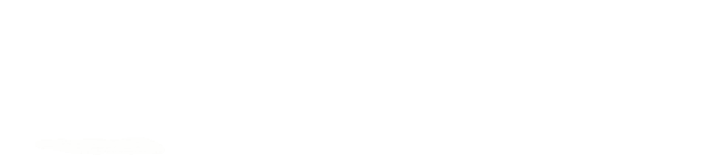 Logo IDRHOKI